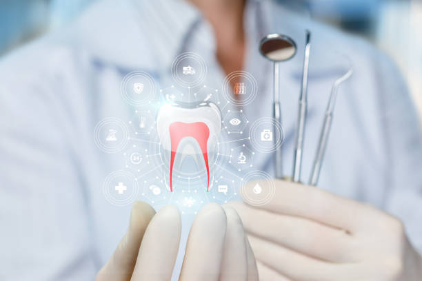 Sarasota Springs, FL Dental Services Company